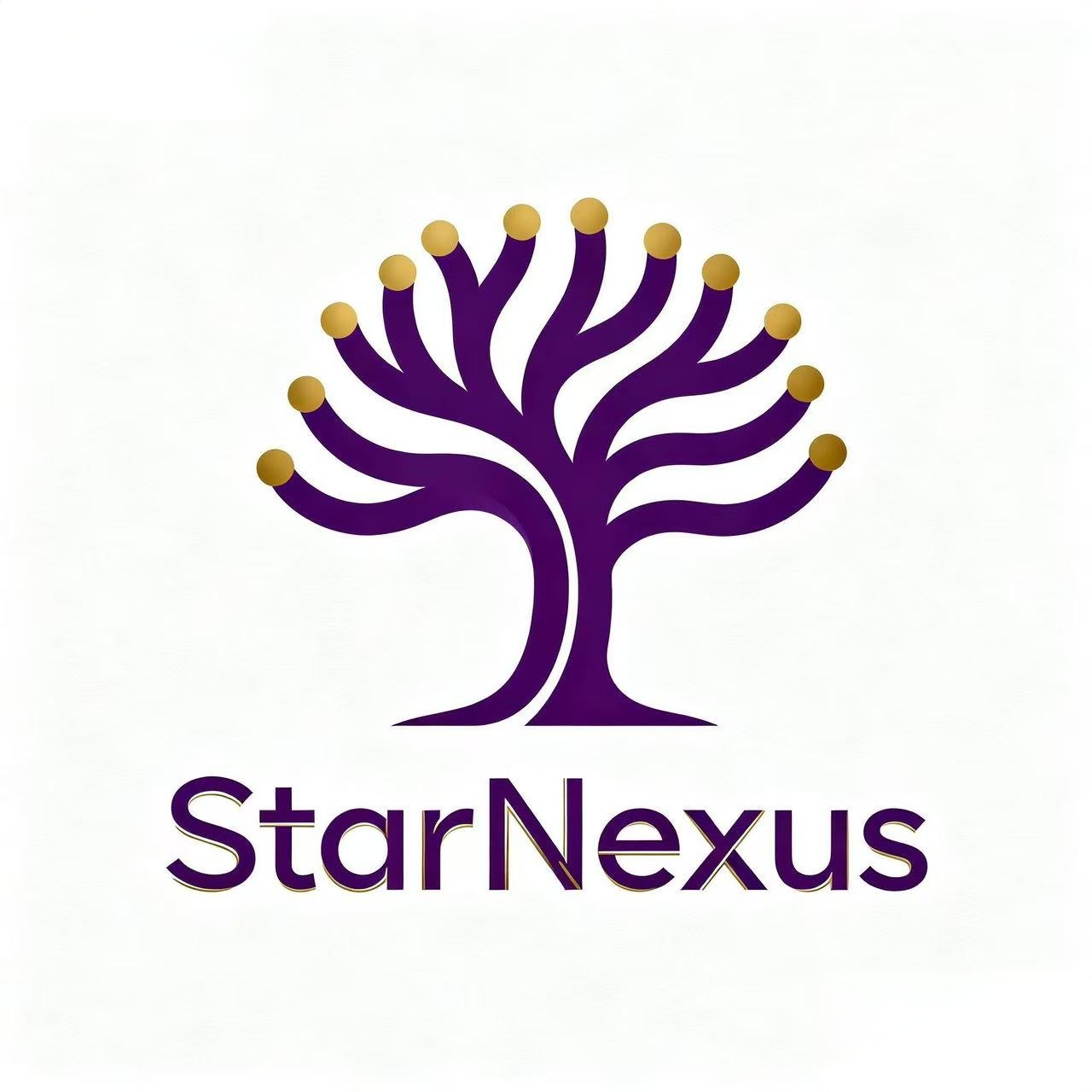 StarNexus